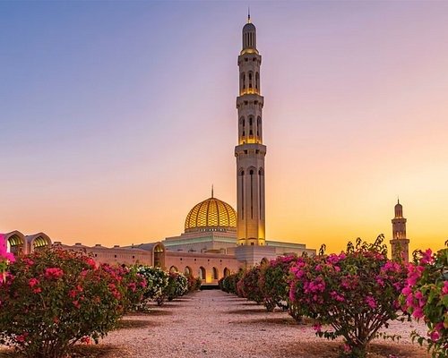 Muscat Groups
